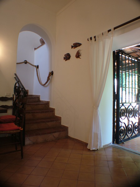 DSCF0718.JPG