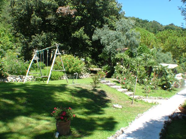 DSCF0734.JPG