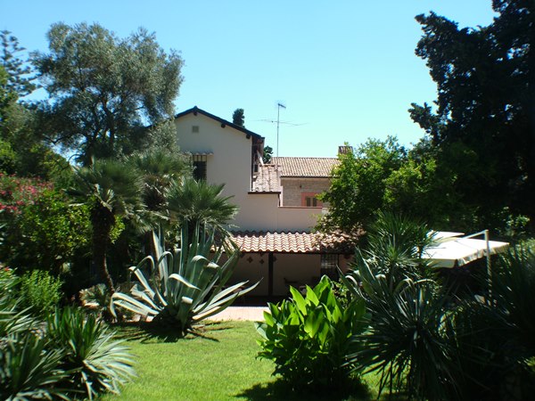 DSCF0739.JPG