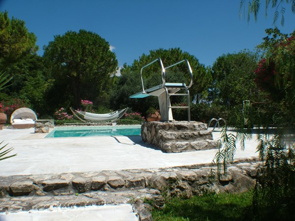 DSCF0742.JPG